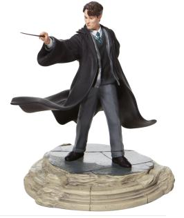 Tom Riddle