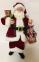 Santa Claus with gifts