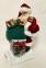 Santa Claus on the chimney