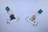 Dogs with Bone - Hanging Ornament - Various Types  - photo 1