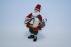 Babbo Natale con Mandolino - Musicale - foto 1